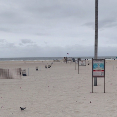 Suspected shark attack as swimmer bitten at New York beach
