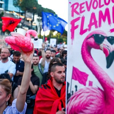 Jared Kushner vs the Flamingos – Albanians protest against luxury resort plans
